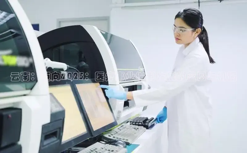 头号玩家官方网站