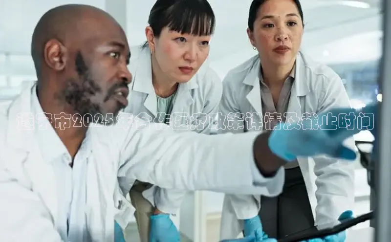 头玩官网登录入口
